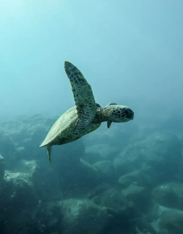 3x dit kan jij doen met Plastic Free July (2021 editie)