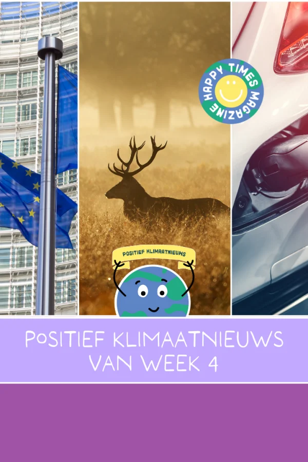 Het positieve nieuws van week 4