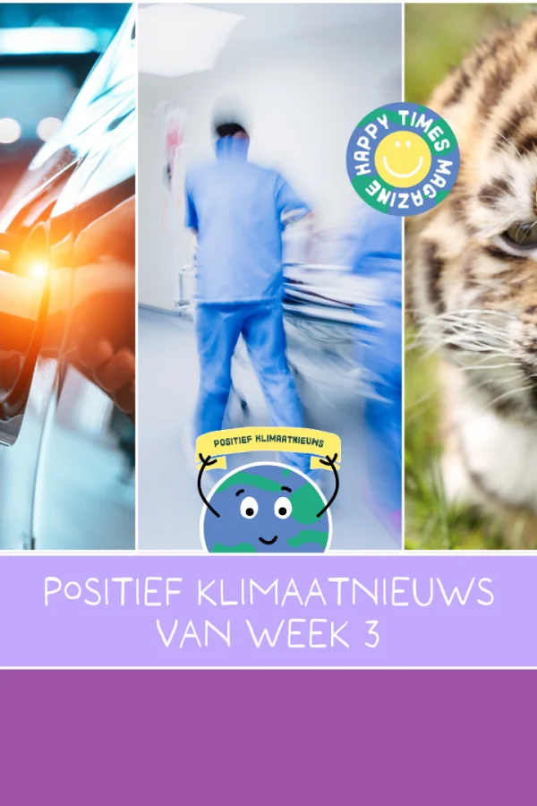 Het positieve nieuws van week 3