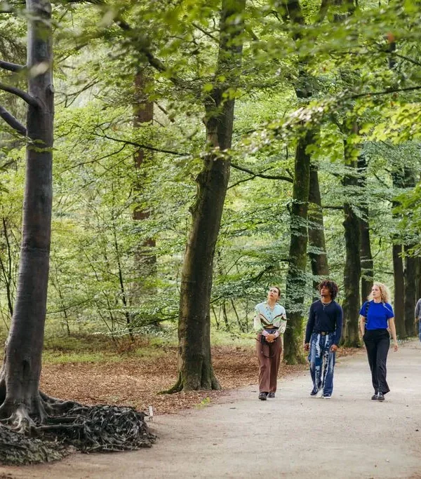 Kröller-Müller presenteert van 23 maart tot en met 15 september 2024: ‘Door de bomen het bos’