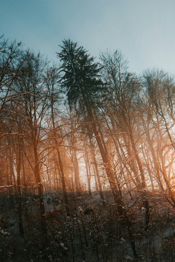 Positief klimaatnieuws week 38